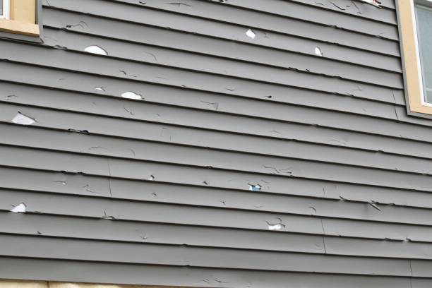  , NV Siding Pros